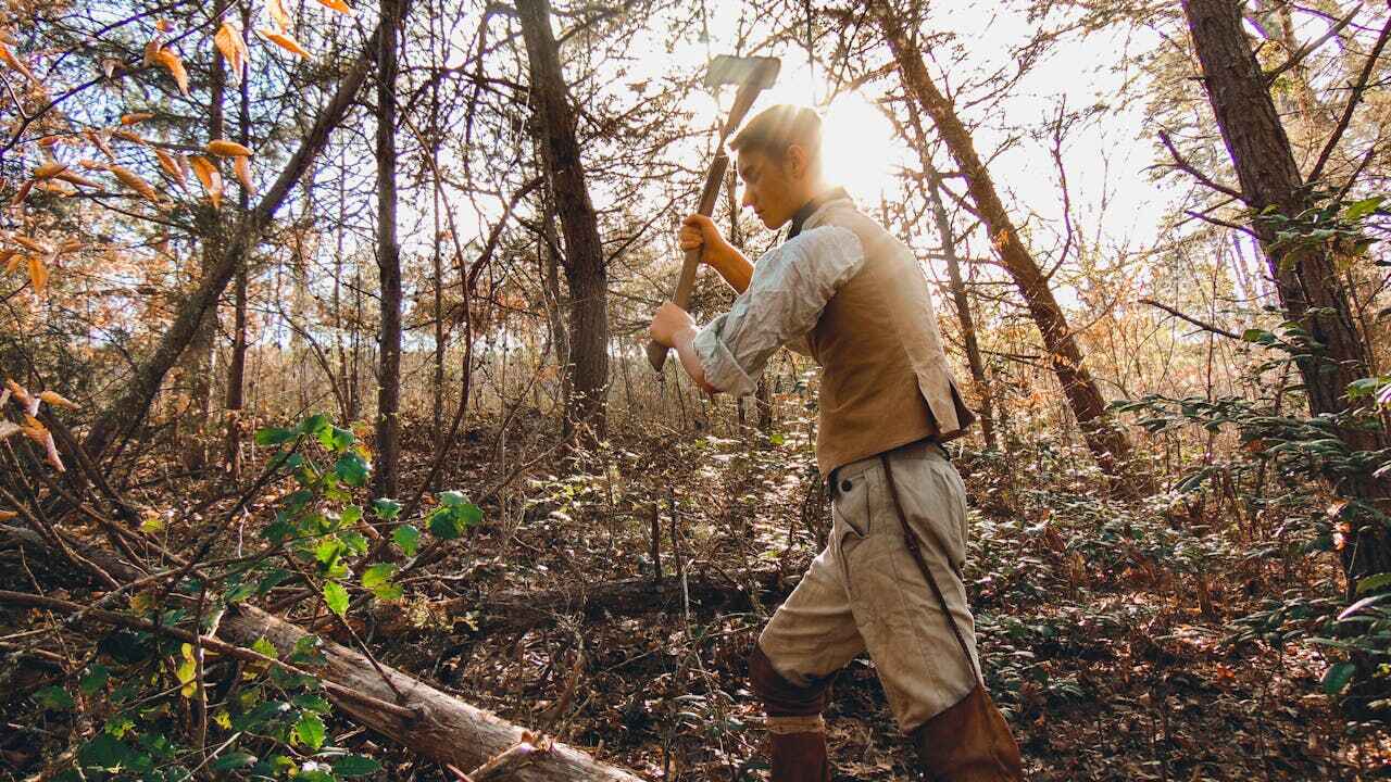 Tree Branch Trimming in Roswell, GA